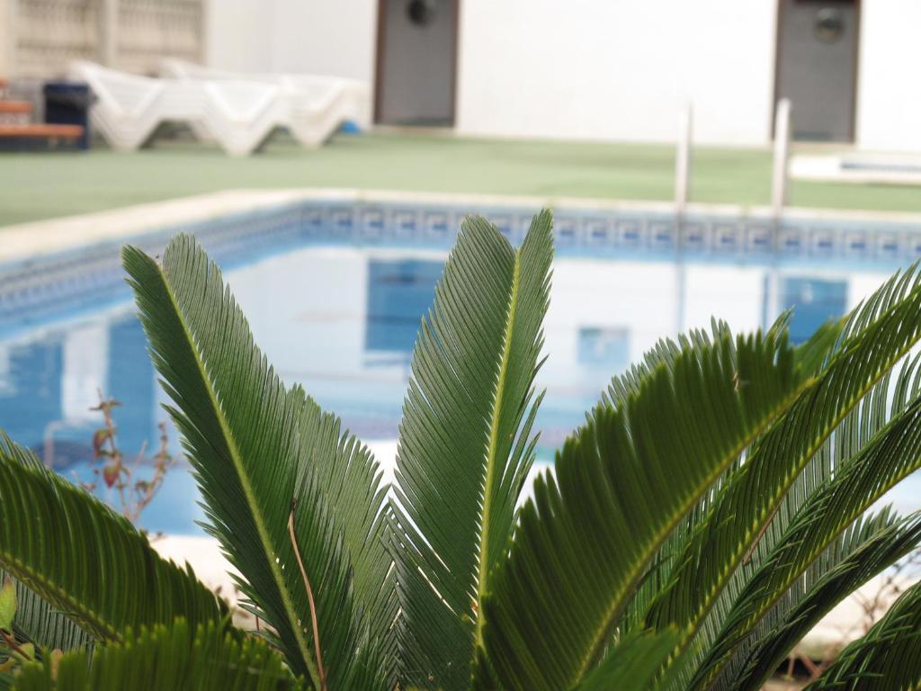 Campsite Roca Grossa